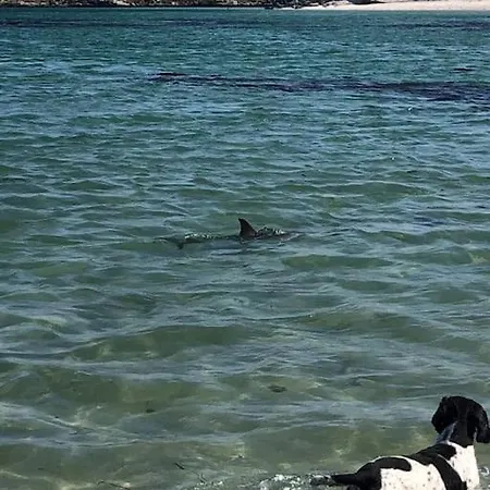 Luxury Sea View Winter Specials Feriehus Ballyconneely