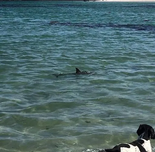 Luxury Sea View Winter Specials Vakantiehuis Ballyconneely